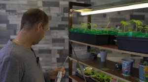 Лучший стеллаж для рассады, своими руками. Сборно-разборный стеллаж .