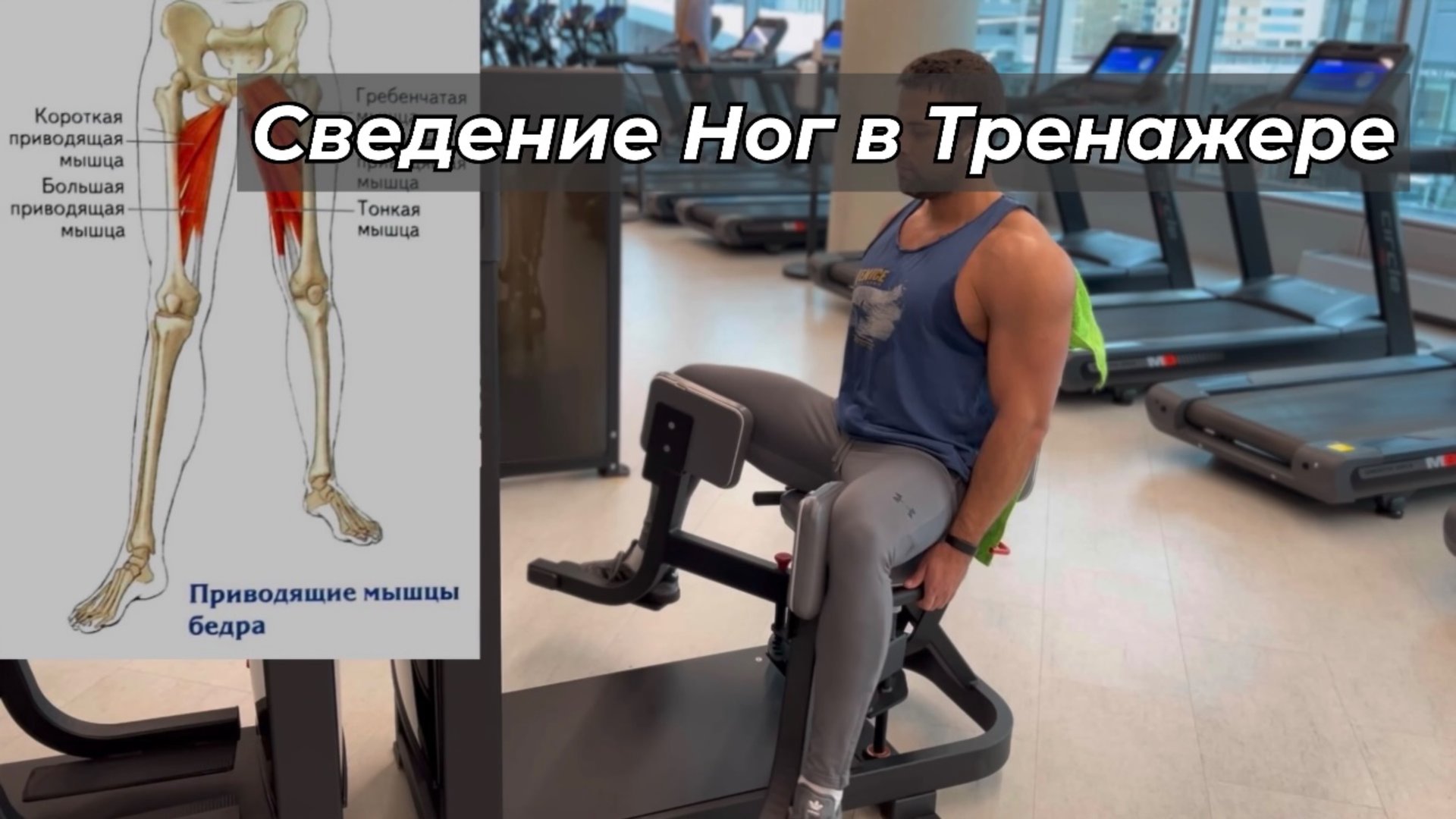 Сведение Ног в Тренажере смотреть онлайн