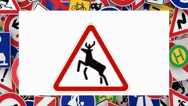 07 08 20  Путешествие в страну дорожных знаков игровая программа Детская библиотека «Медиацентр»