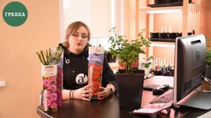 ОБЗОР РОЗ ОТ КОМПАНИИ «СЕМЕНА АЛТАЯ»