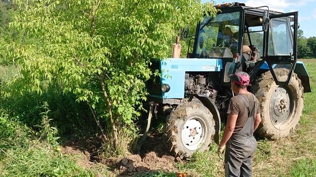 Выкорчёвывание деревьев. смотреть онлайн