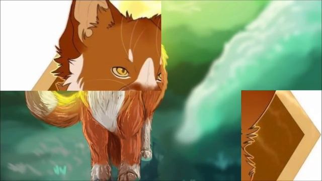 Коты воители клип |Гром "Гуми Бер"| смотреть онлайн