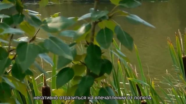 Схема лучших мест в салоне Боинг 737 800 Passenger S7 Airlines смотреть онлайн