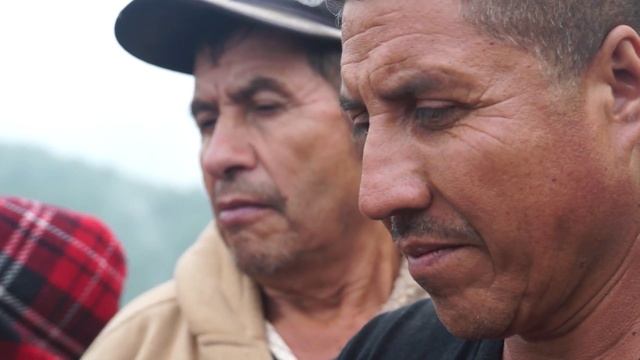 Biodiversity in Production Forest and Certified Markets (english version) смотреть онлайн