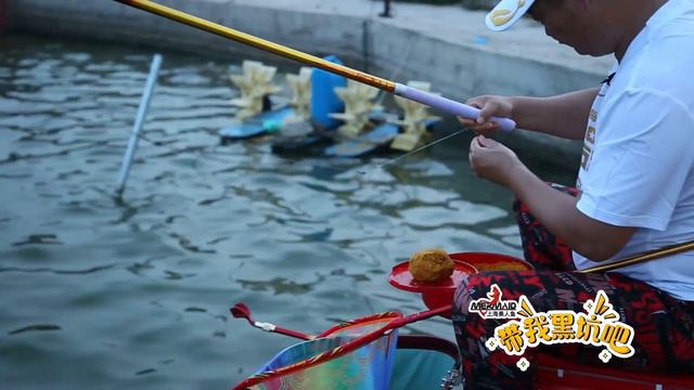The carp game-Tianjin Jinghai garden pond Ep.1 смотреть онлайн