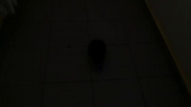 Маленький, милый котёнок пьёт молоко. (Очень мило) смотреть онлайн