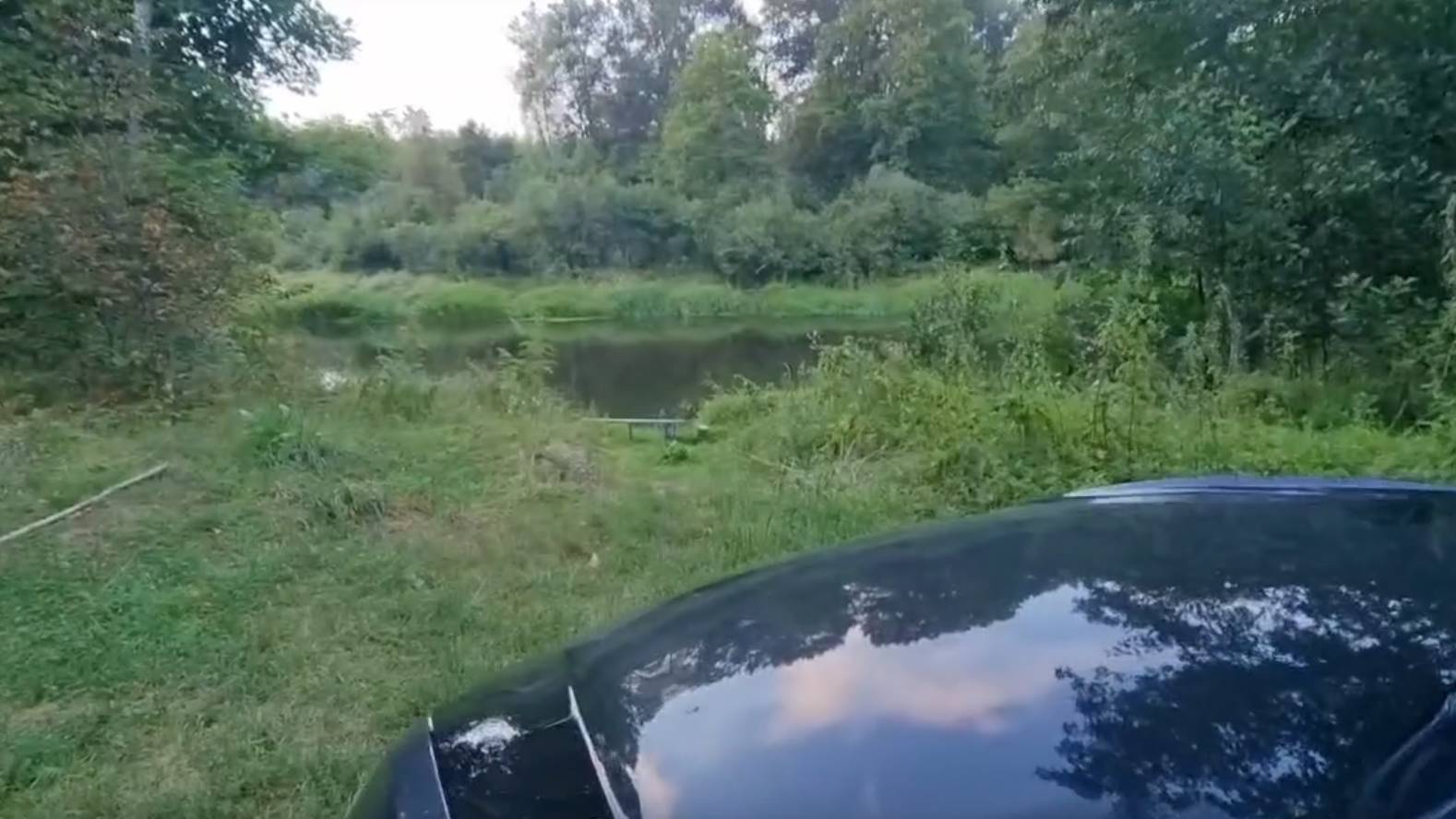 Катаюсь на Tesla Model S P85d по лесам вдоль Западной Двины в поисках полянки для пикника.