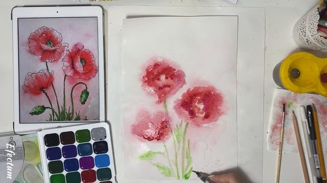 Как нарисовать маки (цветы) в акварели смотреть онлайн