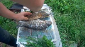 Сазан горячего копчения, рыба горячего копчения, простой способ закоптить рыбу.