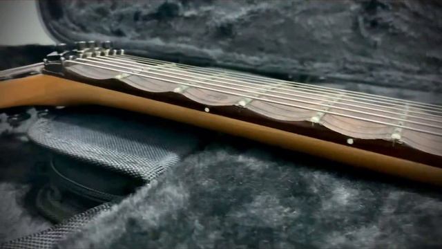AEthelwine Red Blood 7 string Custom смотреть онлайн