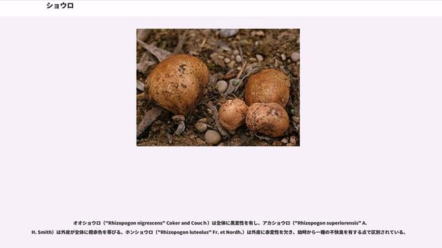 ショウロ смотреть онлайн