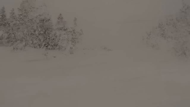 Ski Doo Expedition LE 2016 900 Ace in the snow смотреть онлайн