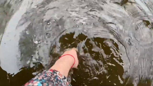 Королевский парк тюльпанов Кёкенхоф в Нидерландах. Keukenhof park 2023. смотреть онлайн