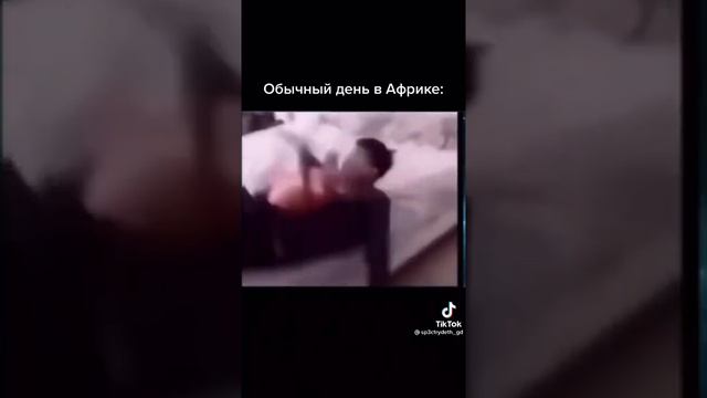 #Short #африка #таракан смотреть онлайн