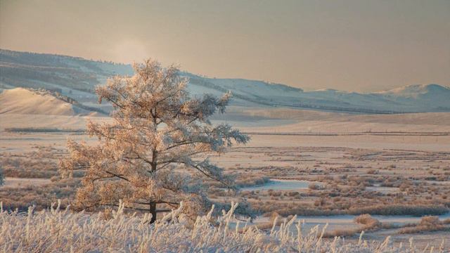 881. .♫ ВИА "Норок" -«Скажи, зачем и почему», 1971 смотреть онлайн
