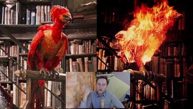 Мозг и чтение - развитие через книги / Гарри Поттер / исследовательские проекты смотреть онлайн