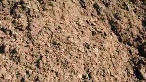 Торф верховой сфагновый низкой степени разложения для производства субстрата Неваторф