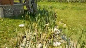 Едем отдыхать дикарями.Дорога на  Алтай. День первый