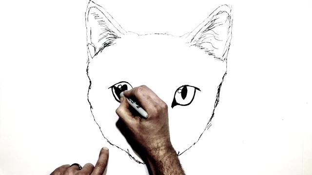 How to Draw a Cat | Step by Step смотреть онлайн
