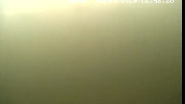 Жизнь водоема в Светлых Горах ч.2 смотреть онлайн