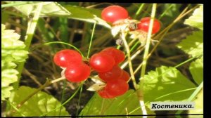 Заповедные места Нижегородской области