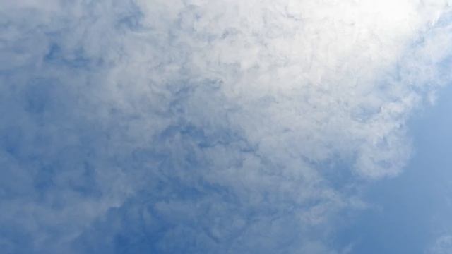 На реке Сухона.Вологодская область.