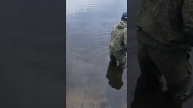 ВОТ ЭТО ПОКЛЕВКА!!! смотреть онлайн