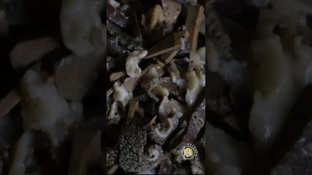 Рецепт калмыцкого блюда Дотур за 1 мин  #калмыкия #элиста