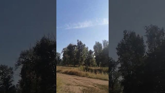 село Колтубанка Оренбургская обл смотреть онлайн