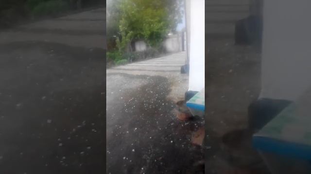 Станица Александровская! 13.05.2016 смотреть онлайн