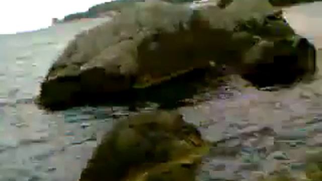 videoplayback111.mp4 смотреть онлайн