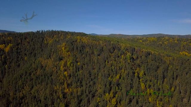 Забайкальский край. Менза. Утренний полет над рекой. смотреть онлайн