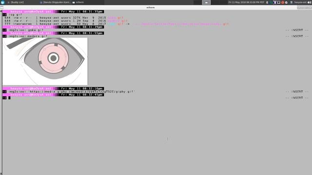libsixel - Display Images and Animated Gif in Terminal - Linux CLI смотреть онлайн