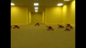 вака вака эй эй