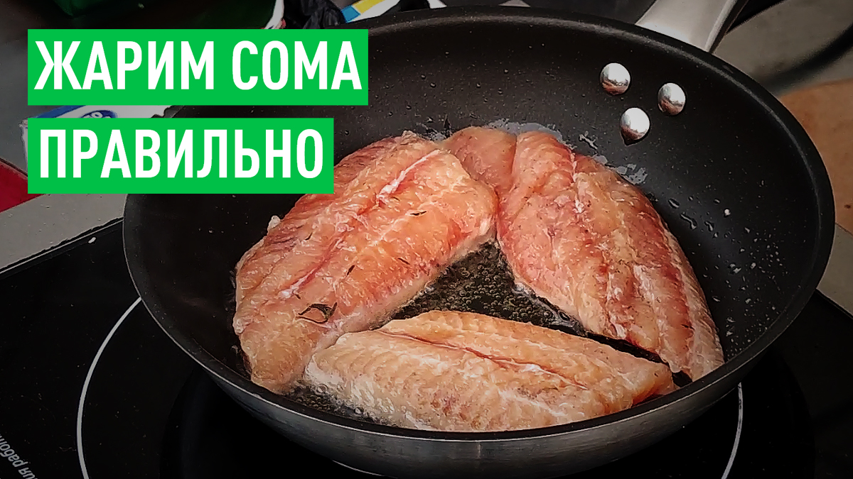 Как правильно жарить сома, чтобы получилось вкусно смотреть онлайн