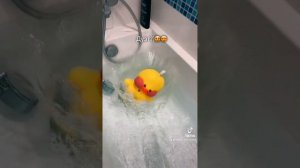 #lalafanfan УТЯ  lili ИЗ ТТ РАСПАКОВКА ПОСЫЛКИ ДЛЯ УТКИ Milka ТРЕНДЫ С УТЕЙ #ЛАЛАФАНФАН nastushik