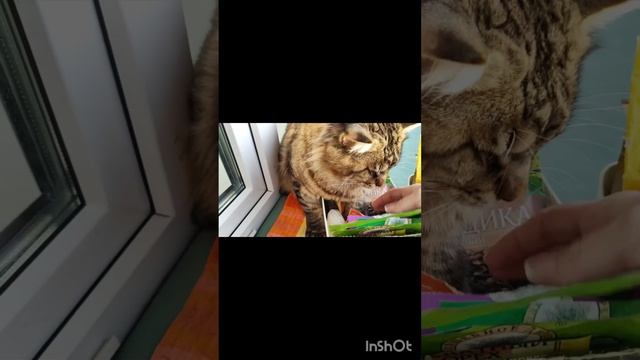 вкусно ... два рецепта от мамы картошки (бульбы)???? по-Беларуски❤️❤️❤️