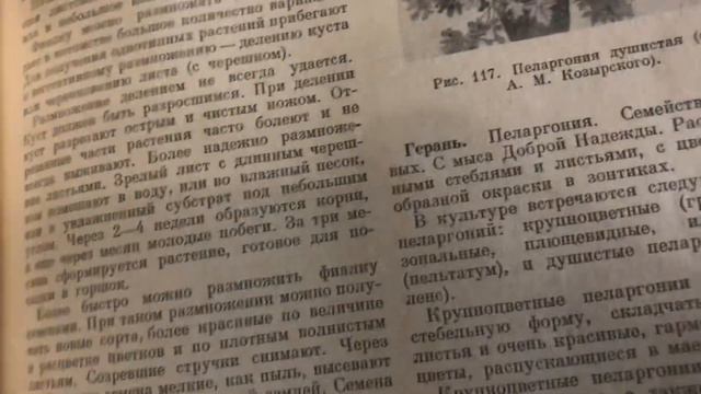 Грачёв Вадим Сергеевич. Обзор моей домашней библиотеки. Часть 107. Биология, растениеводство. смотреть онлайн