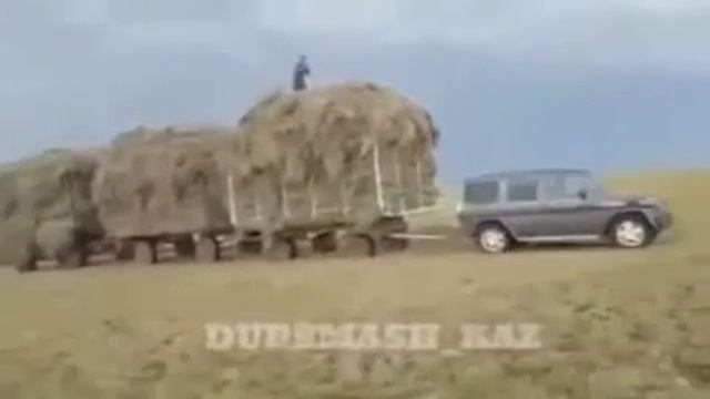 Gelandewagen тащит сено