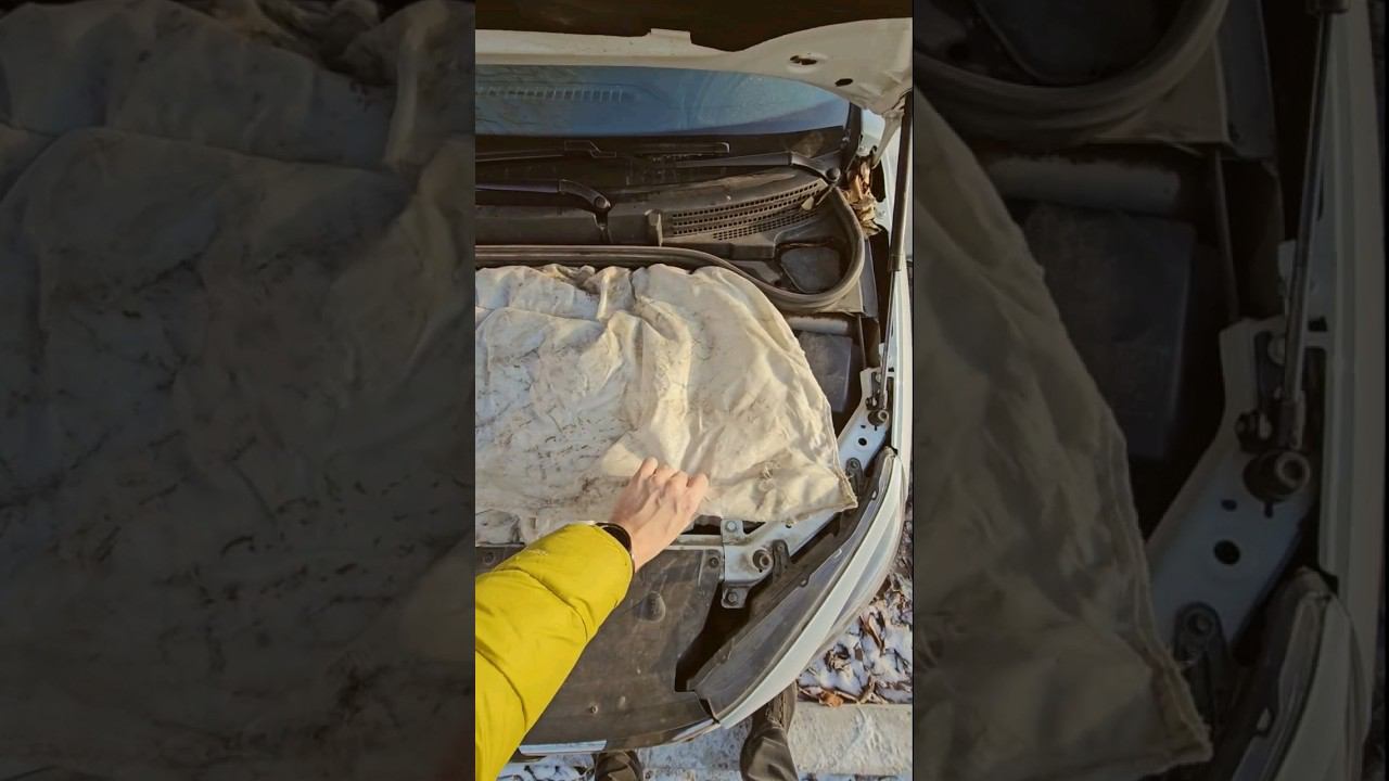 ТЫ НЕ ПОВЕРИШЬ! СТАВЬ ДВА АВТООДЕЯЛО НА LADA VESTA, НОГИ БОЛЬШЕ НЕ МЕРЗНУТ #авто #auto #car смотреть онлайн