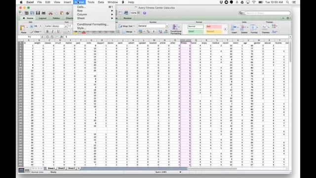 Descriptive Statistics Using StatPlus in Excel for Mac смотреть онлайн