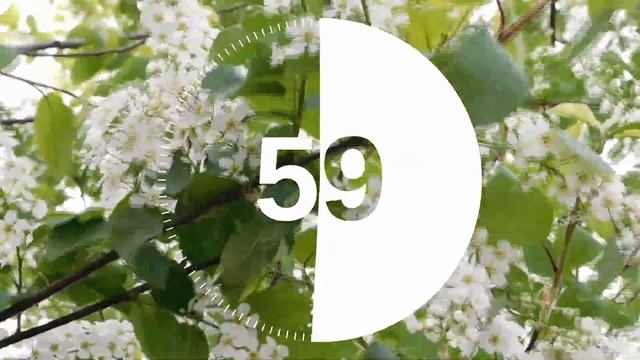 2 Minute Timer Relaxing Music Lofi Flower Spring Background смотреть онлайн