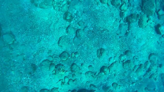 Турция ?? По системе всё включено RICH MELISSA HOTEL 4* Выводы об отдыхе Питание Пляж Анимация