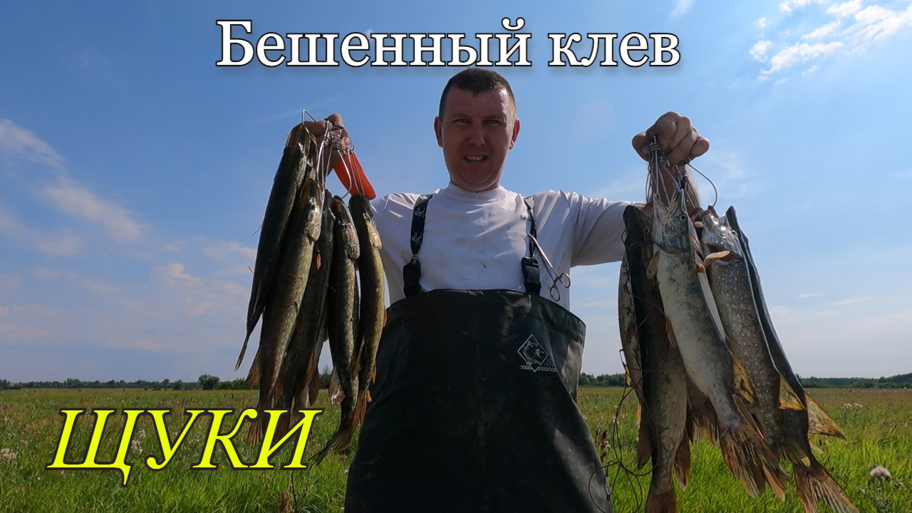 Щука дуреет от этой приманки.Поймал много щуки в любимом ерике. смотреть онлайн