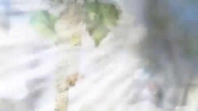Свірідов вальс метель смотреть онлайн