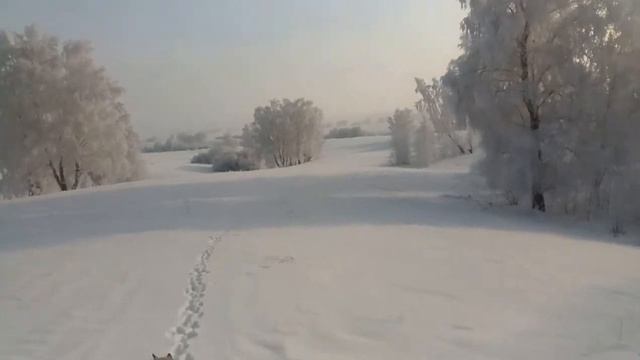 поход на лыжах 27.12.2021 смотреть онлайн