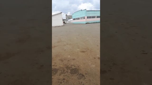 Карт из Дружбы смотреть онлайн