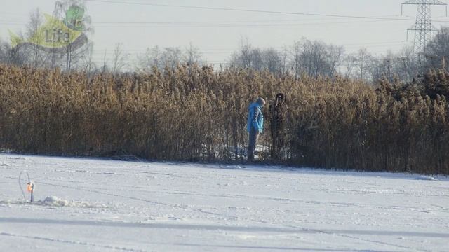 КОГДА ЖОР У РЫБЫ ПОСЛЕ ГЛУХОЗИМЬЯ? Какая рыба КЛЮЕТ В МАРТЕ ЛУЧШЕ ВСЕГо? смотреть онлайн