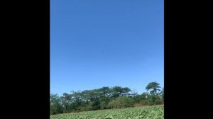 САПЕРЫ В СВО. работа наших парней на просторах Украины.