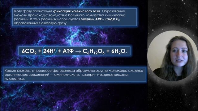 Урок 13. Фотосинтез и хемосинтез с примерами заданий смотреть онлайн
